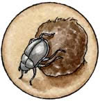 dung beetle