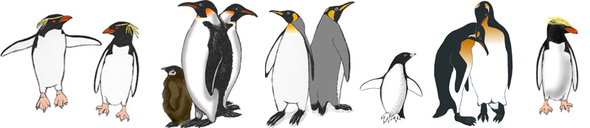 Animals of Antarctica