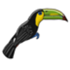 Toucan (Keel-billed)