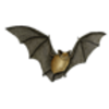 Bat (Little Brown)